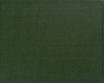 MISSING THUMBNAIL