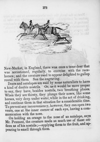 MISSING THUMBNAIL