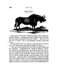 MISSING THUMBNAIL