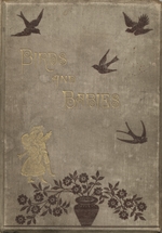 Birds and babies
