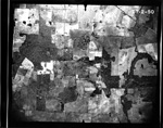 MISSING THUMBNAIL