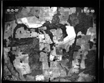 MISSING THUMBNAIL