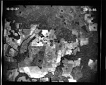 MISSING THUMBNAIL