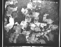 Aerial photographs of Alachua County - Flight 3 (1937)