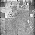 MISSING THUMBNAIL