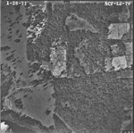 MISSING THUMBNAIL