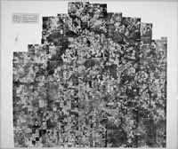 Aerial photographs of Alachua County - 1961 index