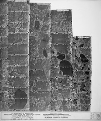 Aerial photographs of Alachua County - 1979 index